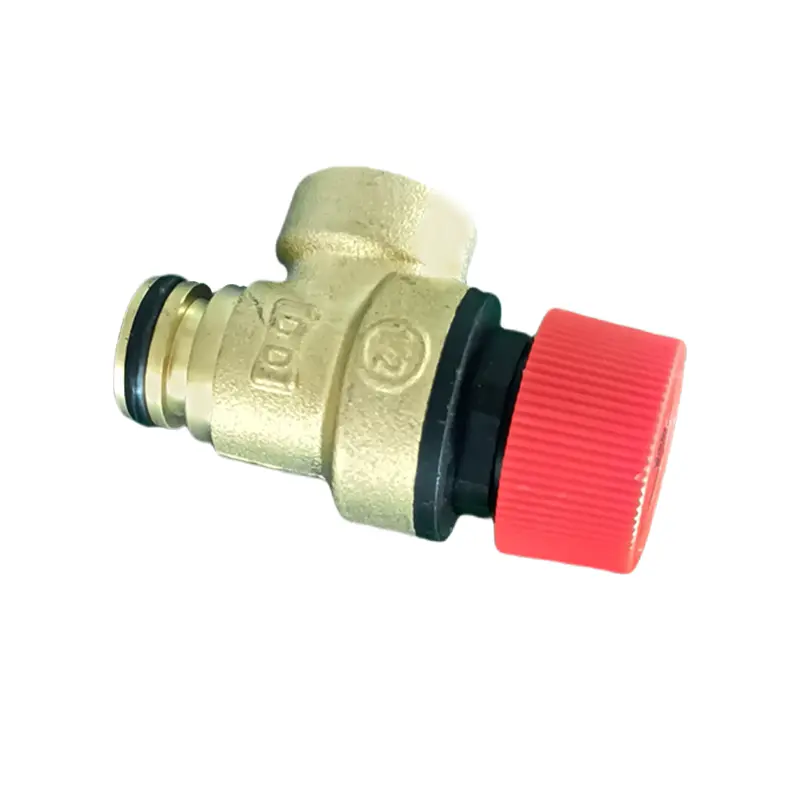 Pressure Release Valve for Wall Hung Boiler