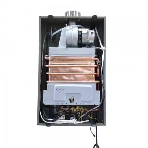 Forced Exhaust Type Lpg Ng Gas Hot Water Heater