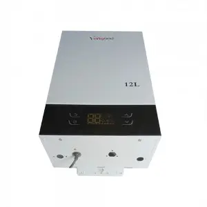 2024 High quality 12L Ng LPG Flue Type Direct Exhausting Instant Gas Water Heater