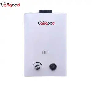 Original Factory Buy Tankless Instant Hot Propane Gas Wall Hung Waterheater Boiler Instantaneous Outdoor Water Heaters