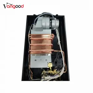 Domestic Natural Gas Forced Exhaust Type Gas Water Heater