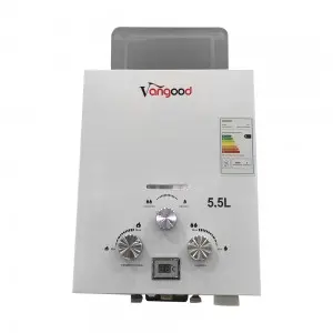 Professional China China Flue Type Tankless Instant Hot Natural Propane LPG Bathroom Shower Gas Water Heaters