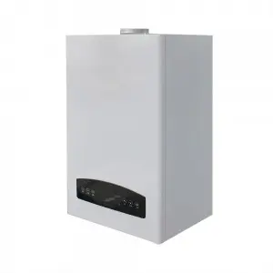 Wall Hung Boilers Europe Control Panel Display For Radiant Floor Heat