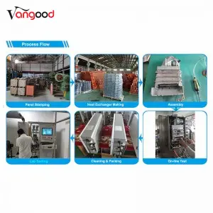 Domestic Natural Gas Forced Exhaust Type Gas Water Heater