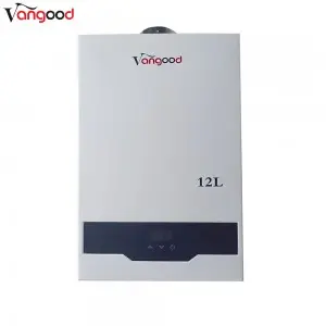 Big Discount China Gas Geyser Manufacture Home Appliance OEM ODM Factory Flue Type Wall Mounted LPG Tankless Instant Gas Hot Water Heater for Shower
