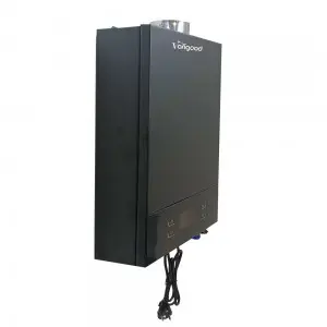 Professional Factory for Customized High Efficiency and Energy Saving 6L-10L Wall Mounted Gas Water Heaters