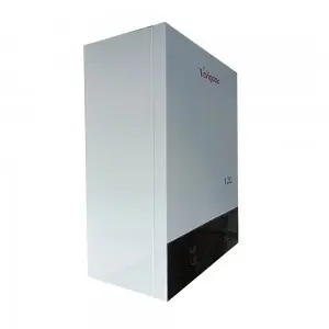 2024 High quality 12L Ng LPG Flue Type Direct Exhausting Instant Gas Water Heater