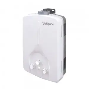 Open Flue Type Instant Gas Water Heater Energy Saving Shower