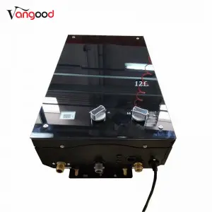 Domestic Natural Gas Forced Exhaust Type Gas Water Heater