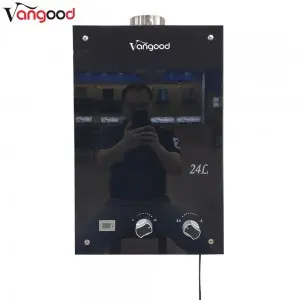 Wholesale OEM Customized Hot Selling 24L Wall Mounted Gas Water Heater for Home Use Instant Hot Tankless