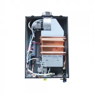 Best quality Gas Heaters Gaz 10 L 20L Wall Hung Boiler Hot Water Heater