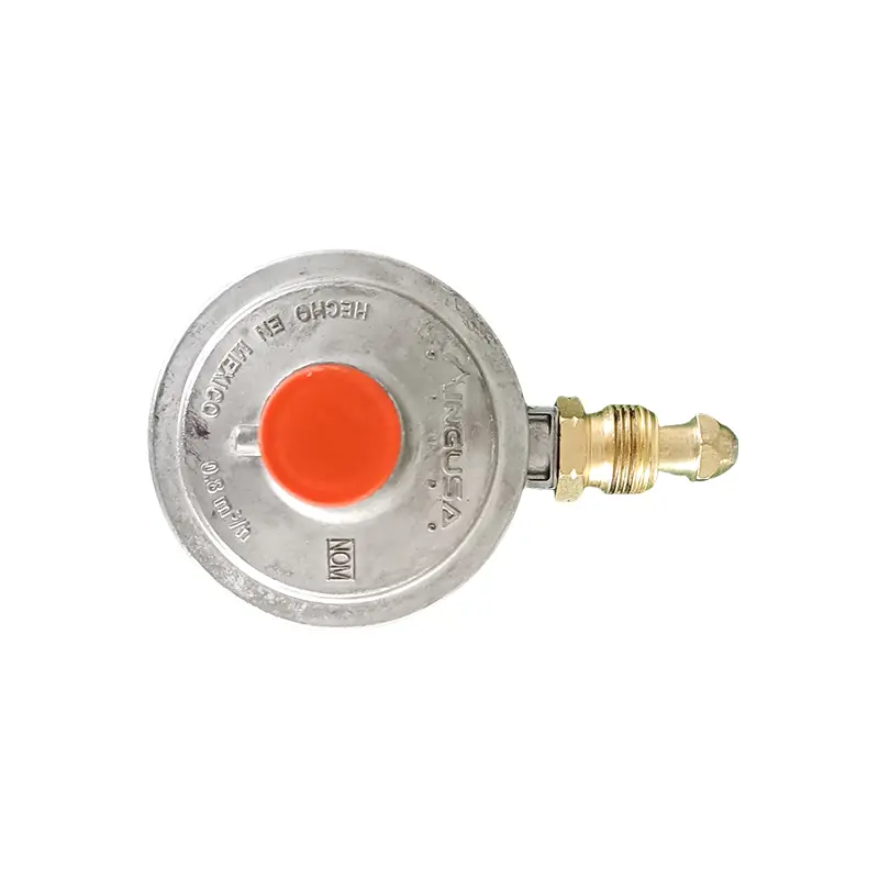 Boiler Pressure Control Valve