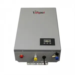 Adjustable Gas Water Heater On Demand Flue Exhaust Type Instant Heating Low Price Customized