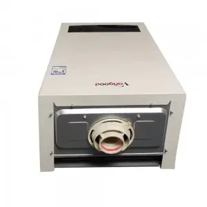 Circulator-Boiler High Temperature Household Gas Boiler