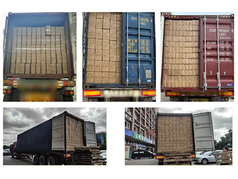 Vangood Achieves Business Expansion And Shipment Volume Reaches New High
