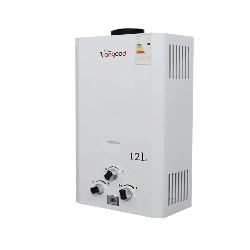 /flue-type-gas-water-heater/