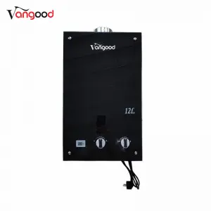 Domestic Natural Gas Forced Exhaust Type Gas Water Heater